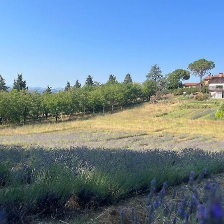 Agriturismo Villa Beatrice Mondavio Exteriör bild