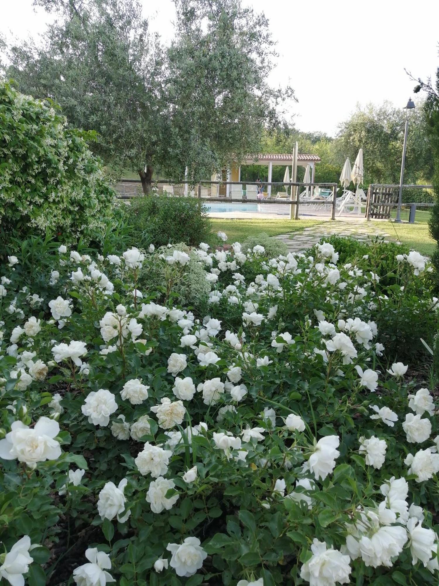 Agriturismo Villa Beatrice Mondavio Exteriör bild